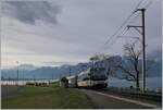 Die MOB Ge 4/4 8002 ist mit dem GoldenPass Express 4068 von Montreux nach Interlaken bei Chtelard VD unterwegs.