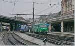 Die beiden MOB Werbeloks Ge 4/4 8001 und 8004 mit ihren GoldenPass Express Zügen in Montreux.