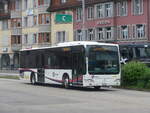 (227'194) - Erne, Full - AG 382'221 - Mercedes (ex Staudacher, Mandach) am 9.