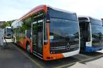 (286'687) - Globe-Limo, Le Lignon - Nr.