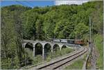 Die Bernina Bhan Ge 4/4 81 der Blonay-Chamby Bahn überquert mit ihrem Zug nach Chaulin den Baye de Clarens Viadukt und hat  Vers-chez-Robert  erreicht.