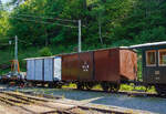 Der zweiachsige gedeckte Güterwagen K 30, ex S.L.B. E 30 (Schweizerische Lokalbahnen ab 1885 Appenzellerbahn-Gesellschaft, kurz Appenzeller Bahn), am 27.05.2023 im Museumsareal Chaulin der Museumsbahn Blonay-Chamby. 

Der Wagen wurde 1874 von der deutschen Maschinenfabrik Kirchheim an der Teck für Schweizerische Lokalbahnen S.L.B. gebaut. Er ist heute einer der ältesten in Europa.

Die 1872 gegründete Schweizerische Gesellschaft für Lokalbahnen war die Wiege der Appenzeller Bahn. Die SLB wollte viele Nebenstrecken in der Schweiz bauen, es zu viele Projekte. Sie baute die 1875 eröffnete Eisenbahnlinie zwischen Herisau und Winkeln im Kanton Appenzell (bis September 1875 bis Urnäsch verlängert), die nach der Lausanne-Echallens die zweite Schmalspurbahn in der Schweiz war. Durch die dauernde Finanzknappheit wurde die SLB 1875 umgewandelt und in Appenzeller Bahn-Gesellschaft, kurz Appenzeller Bahn, umbenannt. Die Appenzeller Bahn konnte im August 1886 die Weiterführung der Strecke zwischen Urnäsch und Appenzell in Betrieb nehmen, womit die konzessionierte Strecke vollendet war.

Lebenslauf des K 30 (E 30):
1874 Lieferung und Inbetriebnahme für Arbeits- und Güterzügen
1875 Offizielle Inbetriebnahme als S.L.B. E 30
1885 Aufgrund von miserablen Zustands war bereit der Abbruch geplant, die Tragfähigkeit wurde aber erstmal reduziert. 
1887 Überholungsarbeiten, Verstärkung des Rahmens, Erneuerung des Dachs und der Wagenkasten wurden restauriert. 
1898 Installation einer weißen Westinghouse-Bremsleitung
1900 Rekonstruktion des Fahrgestells und vollständige Überholung des Wagenkastens, Verstärkung durch Stahlplatten.
1923 Abstellung (aus aktivem Konto entfernt). 
1941 Reaktivierung des Wagens al AB K 47
1948 als AB K 147 neu nummerieren
1953 Überholung, Anstrich in grau
1963 Stilllegung, Reserve Herisau
1968 Der Wagen wird durch Beschluss der Generalversammlung der AB an Chemin de Fer Blonay-Chamby übertragen, die dann 1972 erfolgt.
Ob da wirklich noch was an dem Wagen aus dem Jahr 1874 stammt, kann ich bei dem Lebenslauf nicht sagen.

TECHNISCHE DATEN:
Baujahr: 1874
Hersteller: Maschinenfabrik Kirchheim an der Teck
Spurweite: 1.000 mm (Meterspur)
Achsanzahl: 2
Länge über Puffer: 6.600 mm
Achsabstand: 2.300 mm
Eigengewicht: 4,3 t
Nutzlast: 6 t

Dahinter steht der zweiachsige gedeckte Güterwagen ex LLB K 41.
