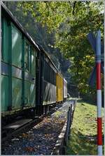 La DER de la Saison 2023 - herbstliche Ambiente bei der Abschlussfeier der 55.