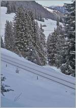 Der BLM Be 4/4 22 ist mit seinem Vorstellwagen auf dem Weg von der Grütschalp nach Mürren und wird in einigen Minuten Winteregg erreichen.