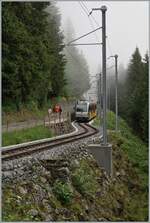 Nun sind die BLM Be 4/6 im Planbetrieb zu sehen. Zur Zeit fahren sie mit den aktuellen Triebwagen Be 4/4 21, 23 und 31 im Mischbetrieb, was fototechnisch gar nicht so einfach zu zeigen ist. Der BLM 4/6 102  Mönch  ist als R66 3747 von der Grütschalp nach Mürren im nebligen Wald schon fast am Ziel seiner Fahrt über die kurvenreiche Strecke, deren Höchstgeschwindigkeit für die neuen Züge bei 50 Km/h liegen wird, wobei dafür die Fahrdrahtspannung erhöht werden muss (was ein Einsatz der aktuellen Triebwagen Be 4/4 verunmöglicht). Vorteil: durch die schnellere Fahrt genügen künftig zwei statt drei Züge um die Umläufe abzudecken.   

23. Juli 2024