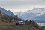 Eine MOB Ge 4/4 Serie 8000 schleppt ihren Goldenpass Panoramic kurz vor Planchamp Richtung Zweisimmen.