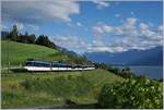 Der  neue  MOB Golden Pass Panoramic RE 2229 von Zweimmen nach Montreux mit der Ge 4/4 8001 an der Spitze zeigt sich bei Planchamp mit dem Ast 151 als Abschluss im Abendlicht in den Weinbergen