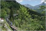 Ein MOB Ge 4/4 Serie 8000 ist mit einem Panoramic Express auf dem Weg nach Montreux und konnte auf der 93 Meter langen Pont Gardiol über den Bois des Chenaux fotografiert werden.