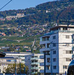 Blick (Detailbild) vom Bahnhof Vevey auf die Kreuzungstation (Chem.