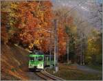 Der bunte Herbstwald kurz vor Verchiez stellt sogar den nicht gerade farblosen ASD Regionalzug in den Schatten.