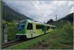 Zwischen den Rebstöcken ist der TPC ASD ABe 4/8 471 oberhalb von Aigle auf dem Weg nach Aigle.