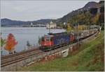 Bei einem eher  schlechten  Licht zeigt sich die SBB Re 6/6 11611 (Re 620 011-7)  Rüti ZH  in bunten Herbst beim Château de Chillon auf dem Weg in Richtung Wallis.