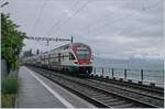 Der SBB RABe 511 026 auf dem Weg nach Genève bei St-Saphorin.