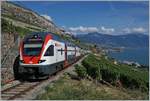 Der SBB RABe 511 029 als RE auf der Fahrt Richtung Friboug (Sommerfahrplan) zwischen Vevey und Chexbres kurz vor dem Salanfe Tunnel.