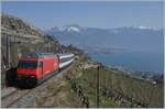 Noch einmal die SBB Re 460 103-5  Heitersberg  mit ihrem RE 30268 von St-Maurice nach Genève Aéroport zwischen Vevey und Chexbres kurz vor der Einfahrt in den 20 Meter langen Salanfe Tunnel