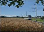 Es geht auch ohne Fotowolke: Von einem schattigen Plätzchen im Schutze eines Baumes konnte ich im  Gros-de-Vaud , der Kornkammer des Kantons, den LEB Be 4/4 64, unterwegs als Regionalzug 131 von