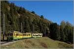 Der zweitiige WAB Triebwagen N° 131 schieb sein Bt Richutng Kleine Scheidegg.