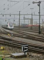 Seit langem schon, wenn auch etwas halbherzig verfolgte ich die Idee, einen TGV mit Formsignalen zu fotografieren.