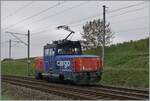 Die Eem 923 023-6 Dent de Vaulion ist kurz vor Auvernier auf der Fahrt in Richtung Neuchâtel. Einige Zeit vorher haben wir die Lok mit einen Güterzug in der Gegenrichtung fahren sehen. 

8.Oktober 2025