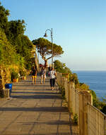 Die Bank am Baum ist frei, so hat es Margareta eilig...
Riomaggiore (Cinque Terre) am 21.07.2022 kurz vor 20:00 Uhr, hier oben wollen wir den Sonnenuntergang beobachten.
