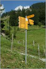 Ein Wegweisser auf der Planalp, der fr alle Geschmcker was bietet.