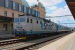 Froschblick auf CVD 362 081 in Plzen hl.n. am 9 Mai 2024.