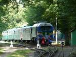 Diesellokomotive TU2 087 der Kindereisenbahn. Strijskij Park, Lviv Ukraine 31-08-2019. 

Diesellocomotief TU2 087 van de pionier of kinderspoorweg. Strijskij Park, Lviv, Oekrane 31-08-2019.