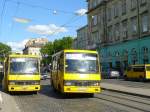 Lviv Uspih BM BAZ A079 Bus Baujahr 2006.