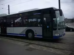 Vorderteil eines sch�nen Citaro Busses in Potsdam.